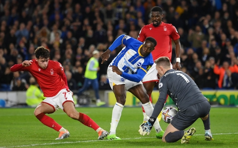 Dự đoán Brighton - Nottm Forest: Chim mòng biển thăng hoa – Forest gặp khó khách