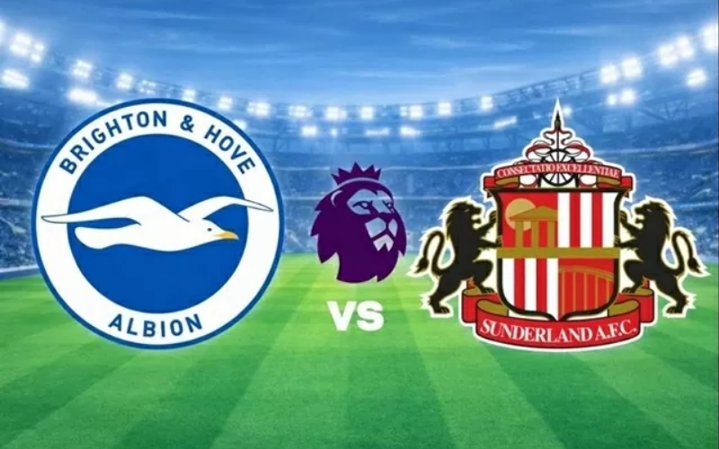 Dự đoán Sunderland - Brighton: Sunderland gặp khó tại sân nhà